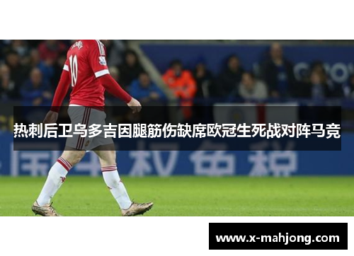 热刺后卫乌多吉因腿筋伤缺席欧冠生死战对阵马竞