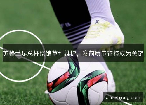 苏格兰足总杯场馆草坪维护,赛前质量管控成为关键 苏格兰足总杯场馆草坪维护,赛前质量管控成为关键